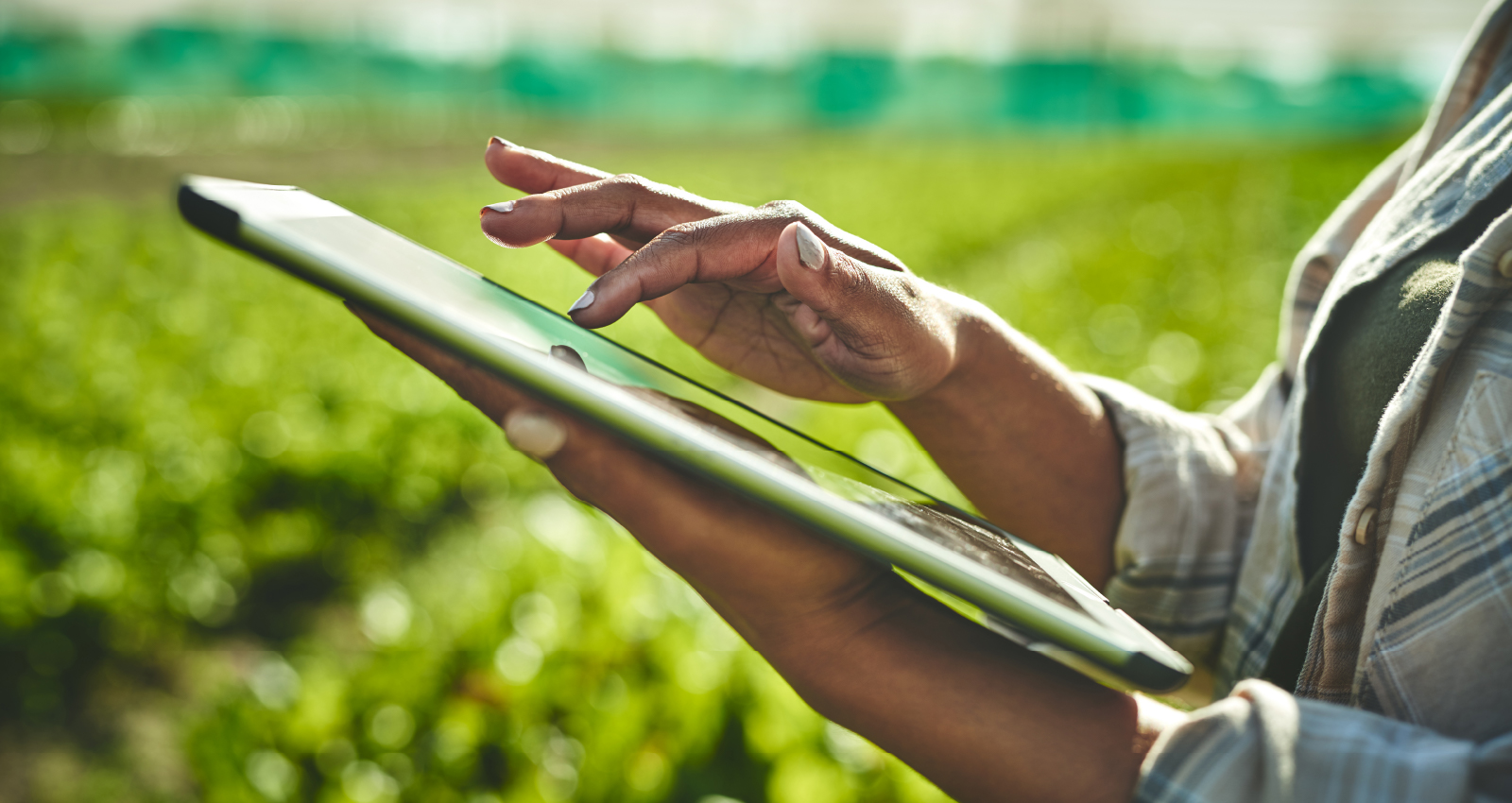 Using ERP software on iPad in growing field
