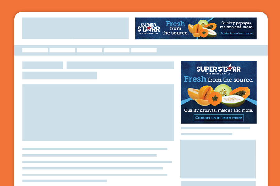 A mock-up of two web banner ads that say "Fresh from the source. Quality papayas, melons and more"
