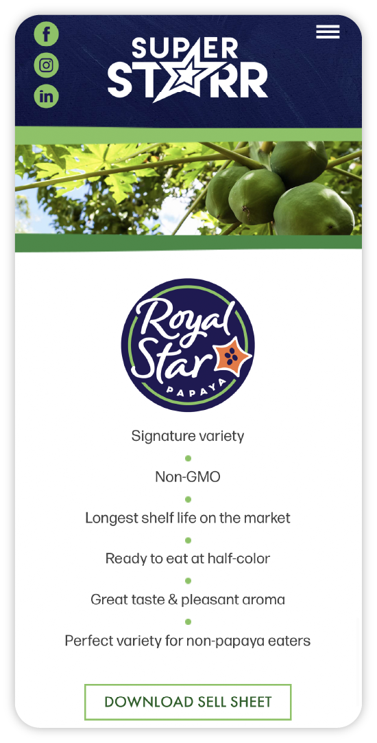 A mobile screen sized mockup of the Super Starr website product page