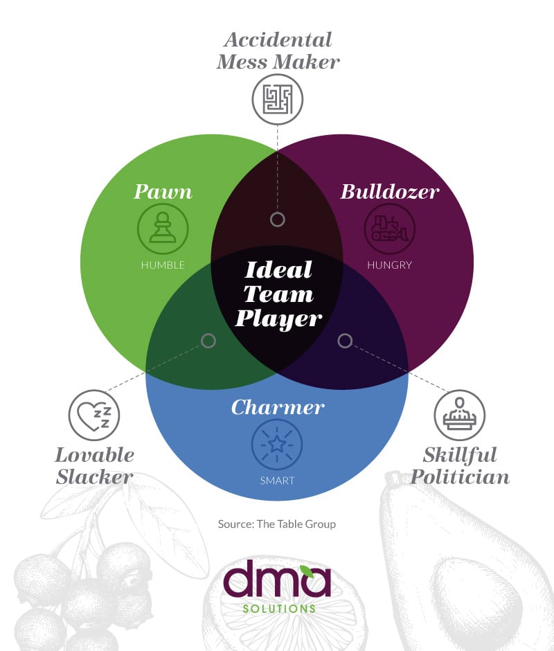 DMA_TeamPlayer_infographic.1