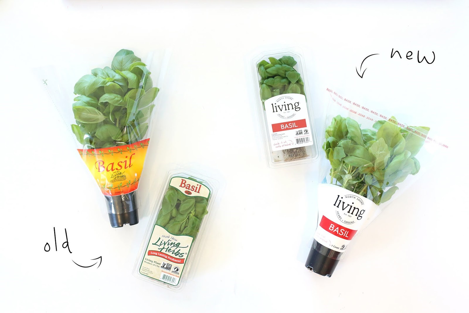 Living Herbs Photo.jpg