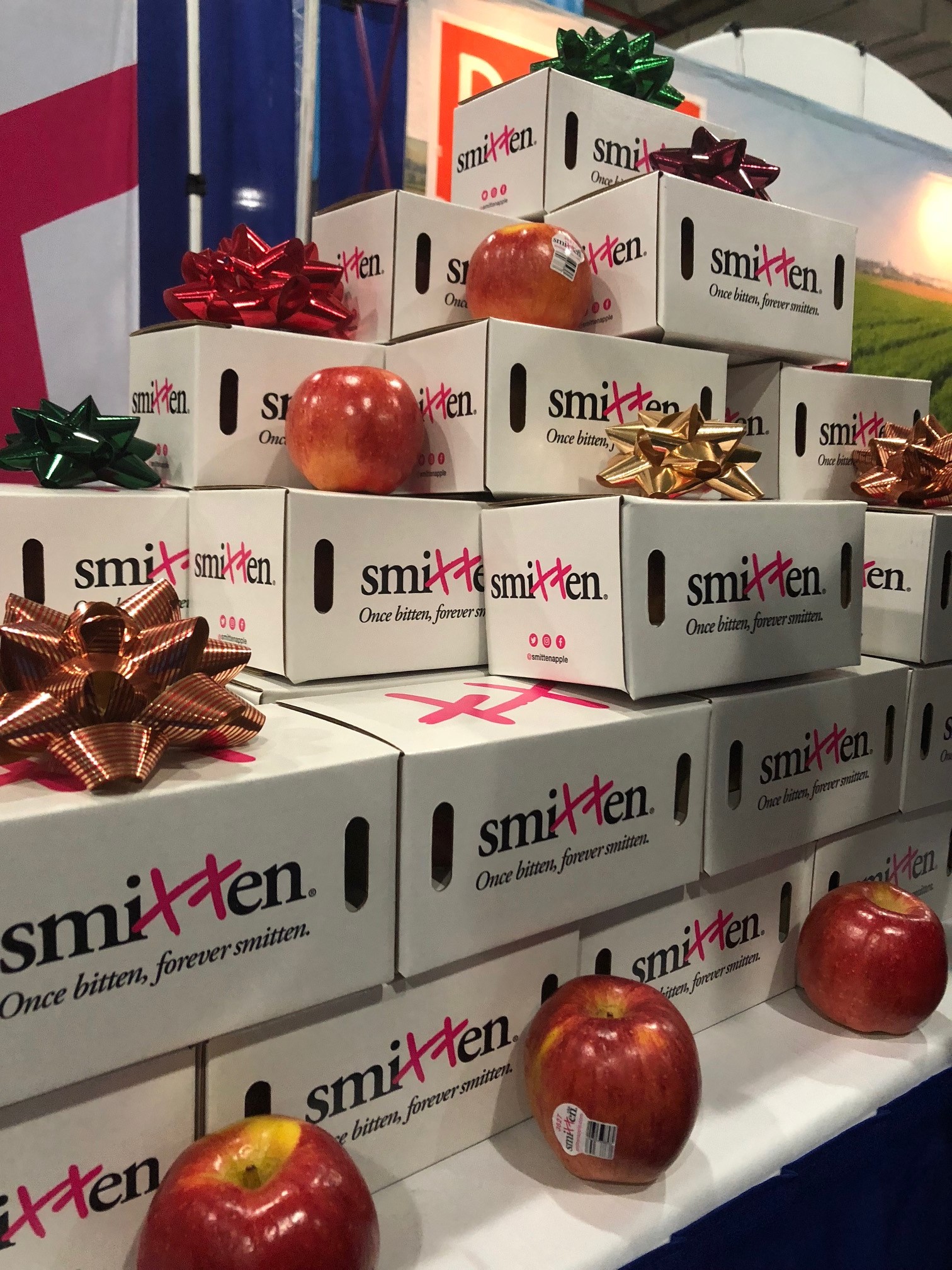 New York Produce Show 2018-DMA Solutions-Marketing4