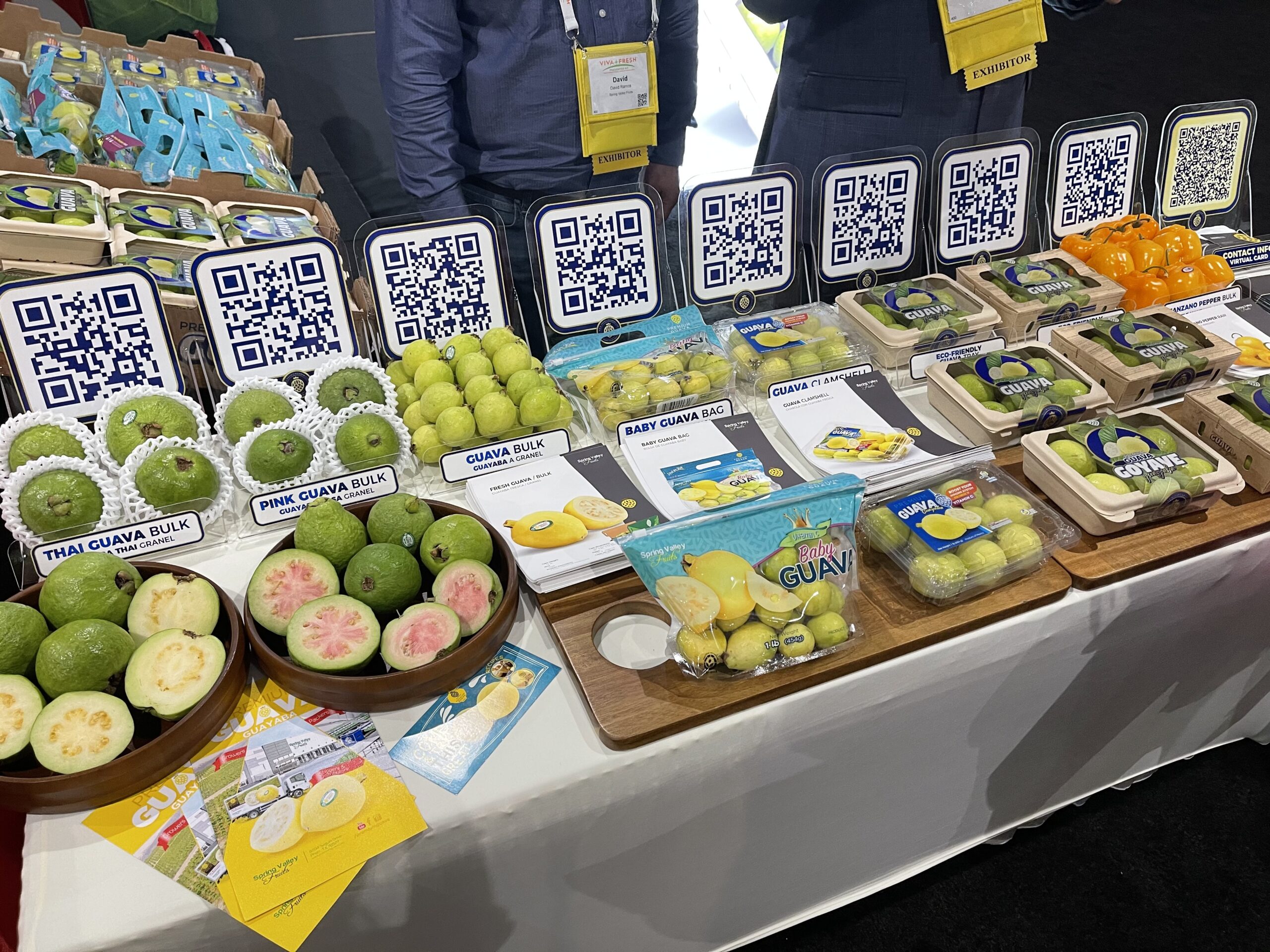 Spring Valley Guava Setup