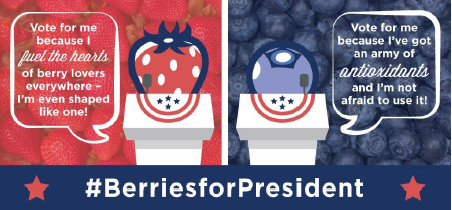berries for pres.png
