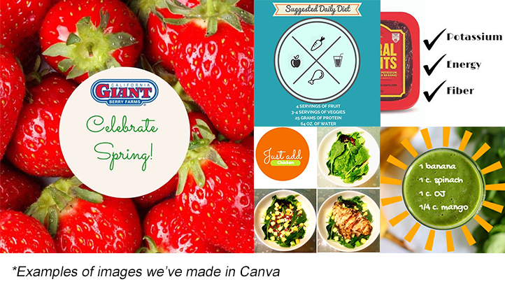canva_examples