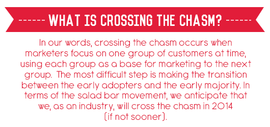 What is Crossing the Chasm? 