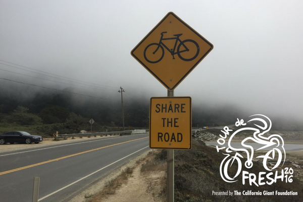 tdf_share_the_road.png