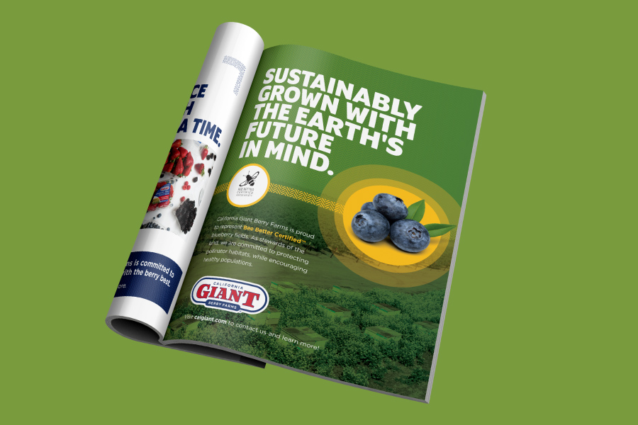 A mock-up of a magazine ad that says "Sustainably grown with the earth's future in mind."