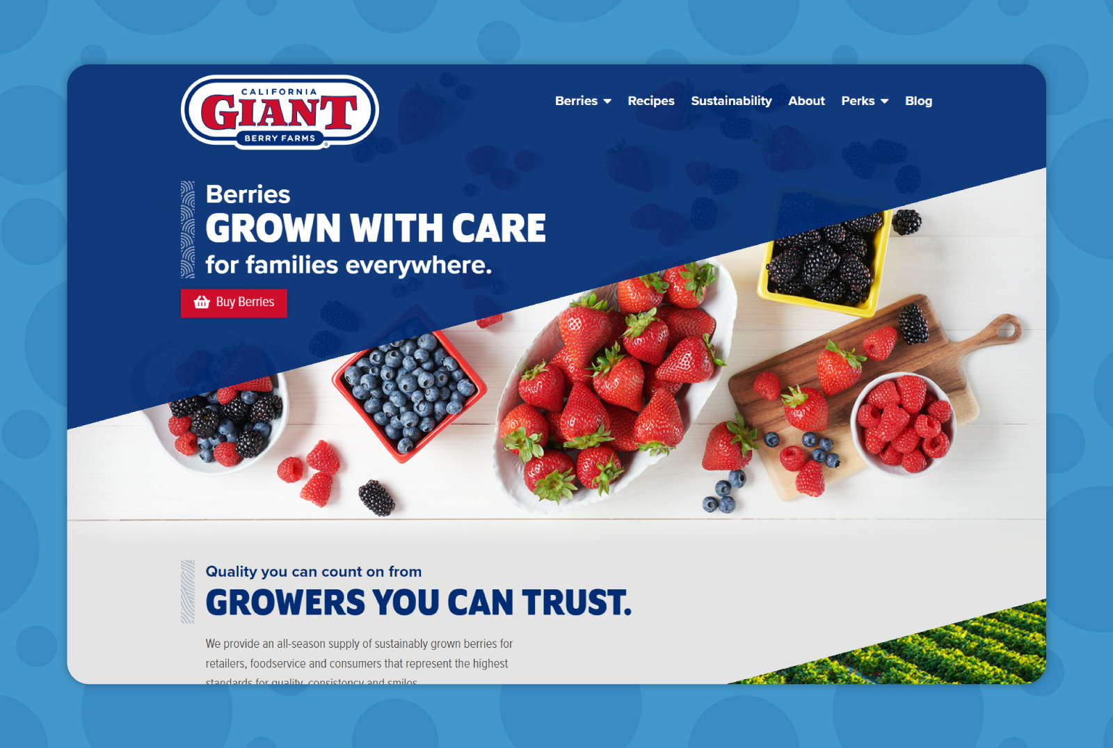 Cal Giant website at desktop size