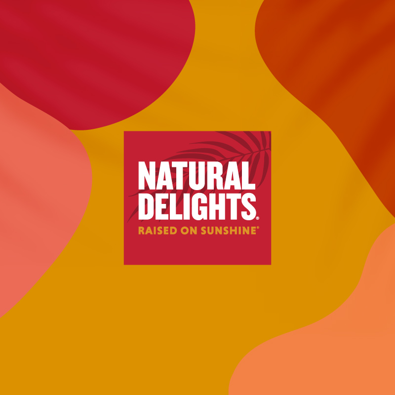Natural Delights logo on background of abstract shapes with palm leaf shadows