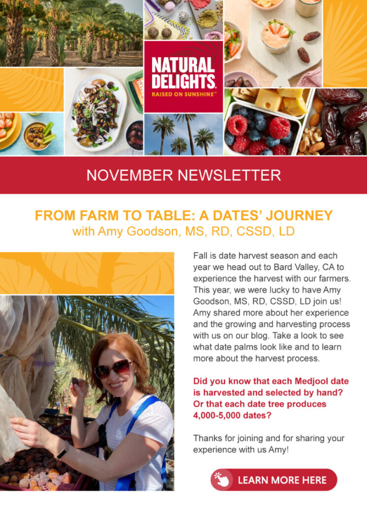 Natural Delights email newsletter preview that says "November Newsletter"