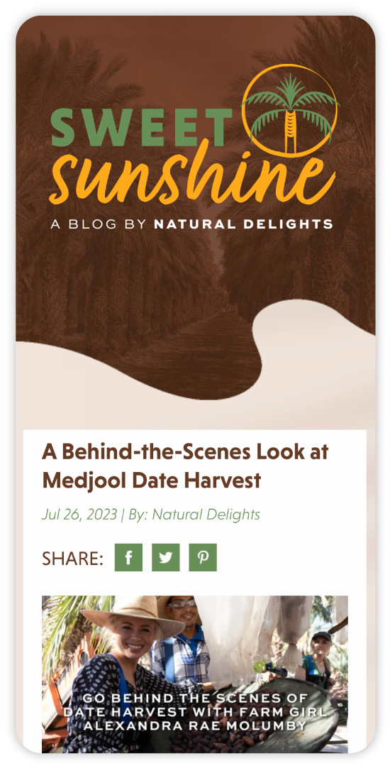 A mobile screen sized mockup of the Natural Delights website Sweet Sunshine blog homepage