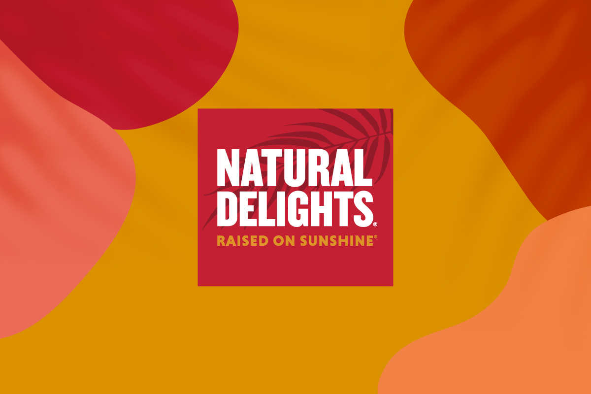 Natural Delights logo on background of abstract shapes with palm leaf shadows
